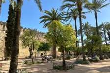 alcazar cordoba city