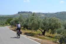 cycling amongst olive trees along quiet country roads