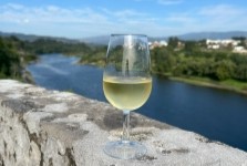 glass of chillde albariño white wine