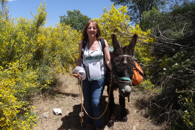 happy woman walking with a donkey friend