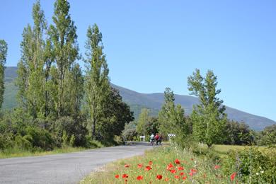 beautiful landscape to cycle in