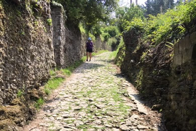 stone clad trail camino de santiago