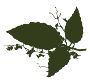 Logo de Senderos y Pueblos